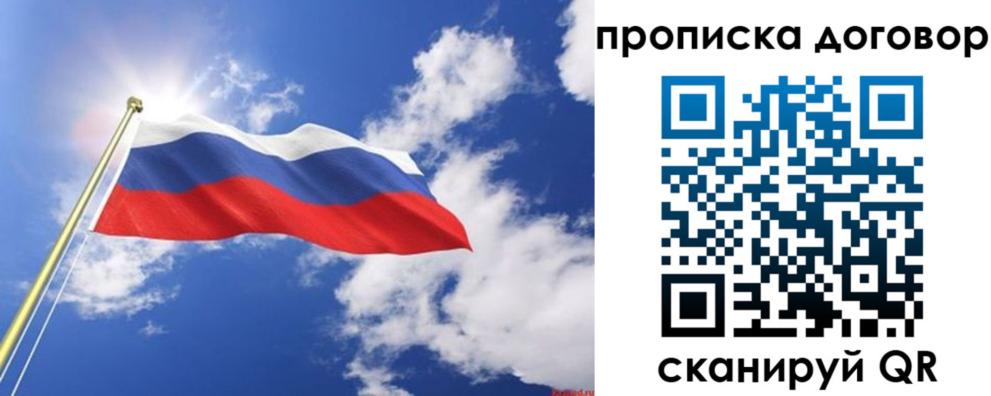 прописка гарантия в Красноармейске